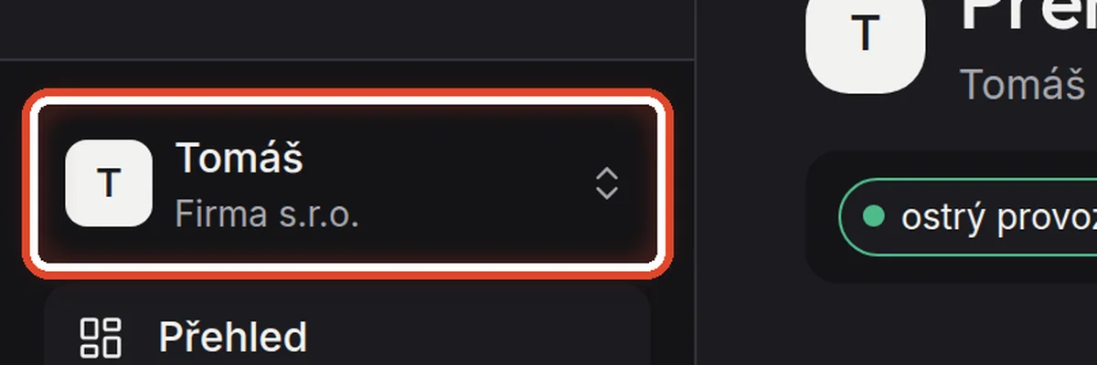 Detail — Který asistent je právě otevřený