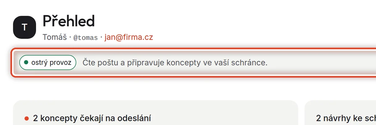 Detail — V jakém stavu asistent je