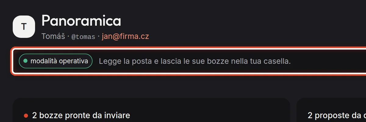 Da vicino – In che stato è l’assistente