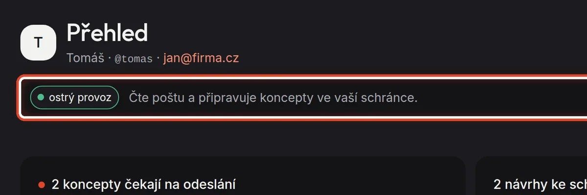 Detail — V jakém stavu asistent je